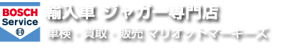 ジャガー整備